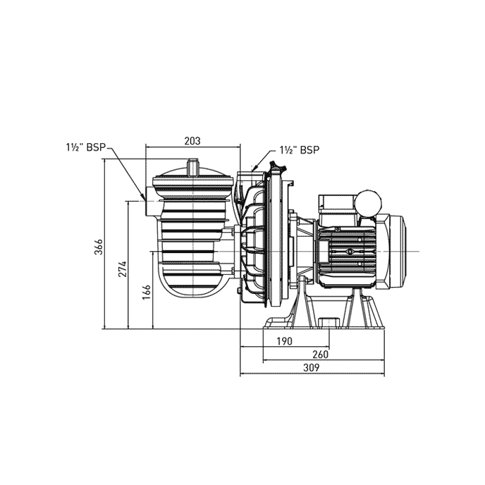 Pentair Sta-Rite 5P2R 1 cv monophasée - 15 m3/h (5P2RE1)