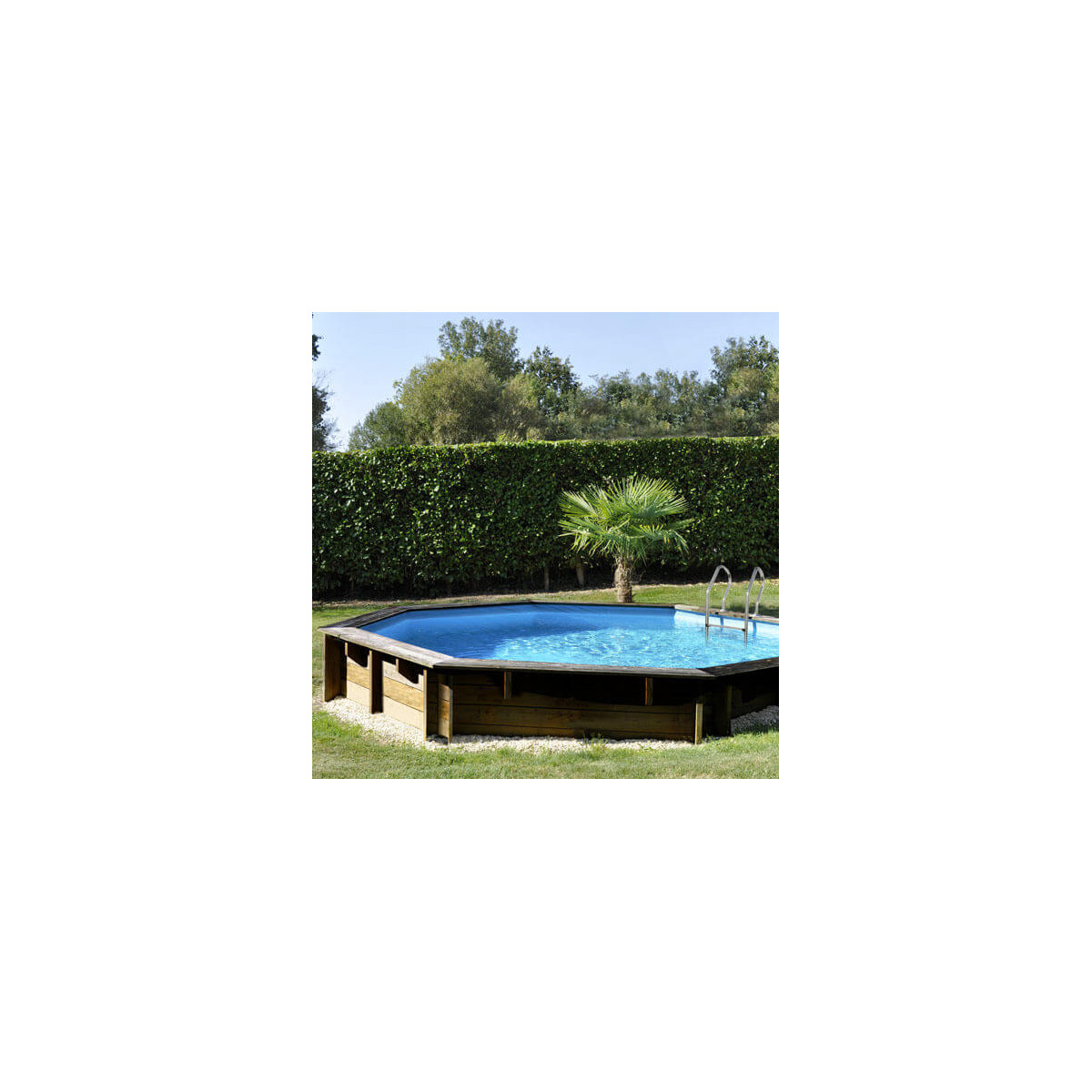 piscine bois violette o 511 x h 124 cm