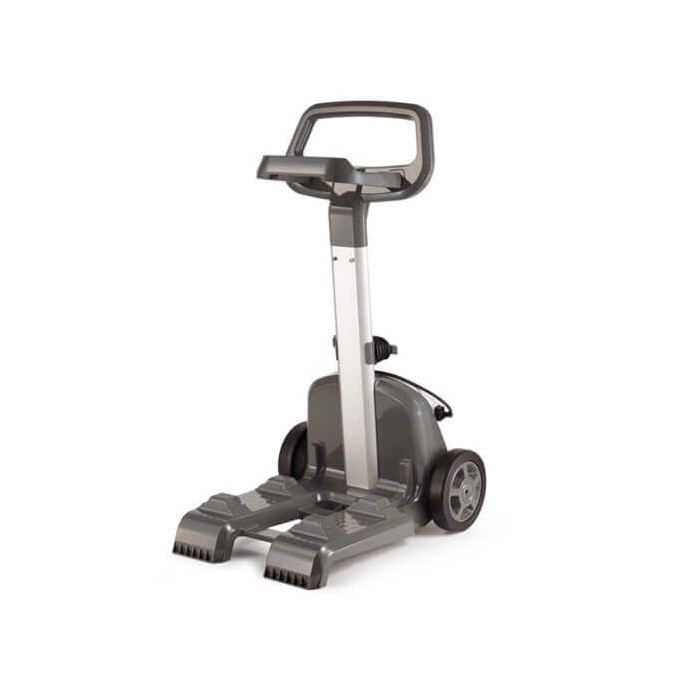 Chariot Dolphin Poolstyle Chariot Dolphin Poolstyle