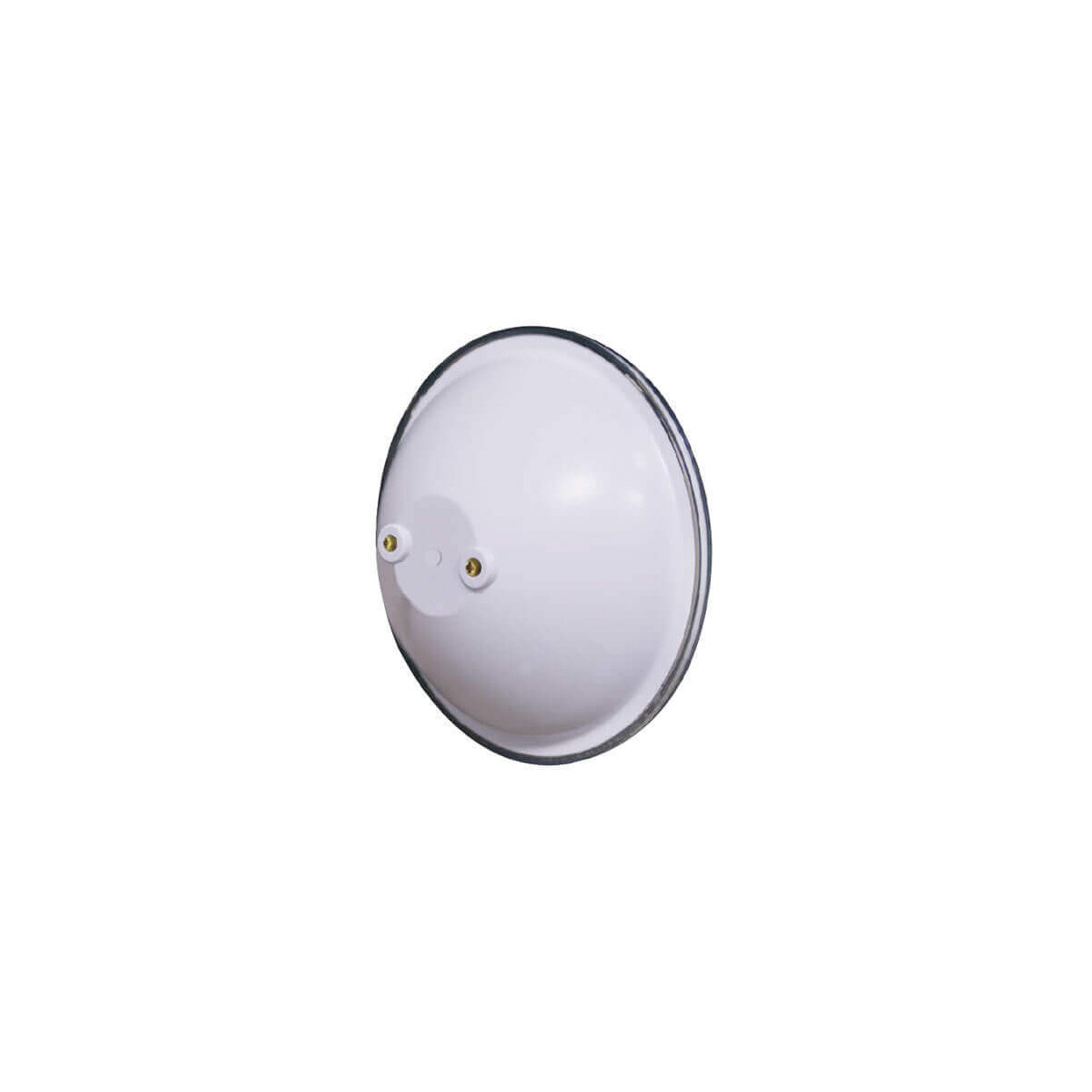 Lampe PAR 56 à LED blanche 36W 2600 lumens pour projecteur de piscine