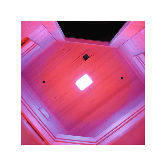 Sauna infrarouge Multiwave 2 places