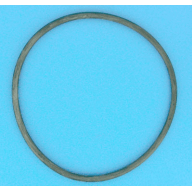 Joint de Couvercle Préfiltre PPE Pentair Ultraflow