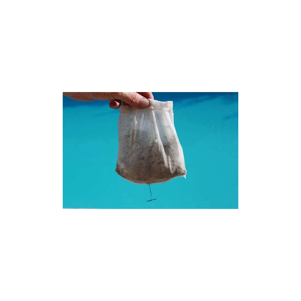 NETSKIM 36 Sacs Chaussettes Pre Filtre universels pour Skimmer Piscine &  Spa Net Skim - Lot de 36 pièces : : Jardin