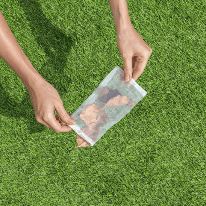 Kit de nettoyage épuisette et tête d'aspirateur pour piscine