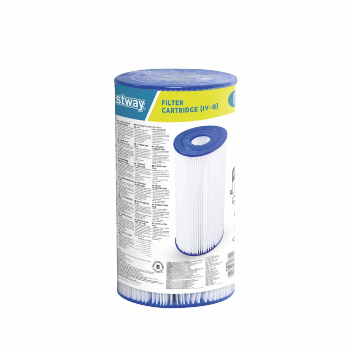 Cartouche de filtration Bestway Type IV