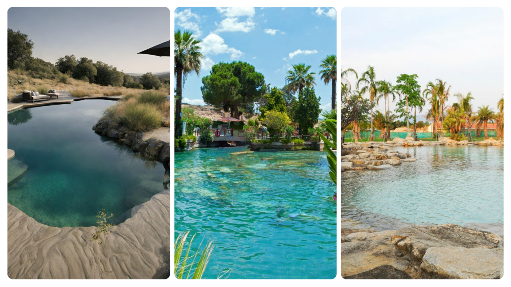 Piscine et Aménagement Extérieur : Inspirations piscine naturelle