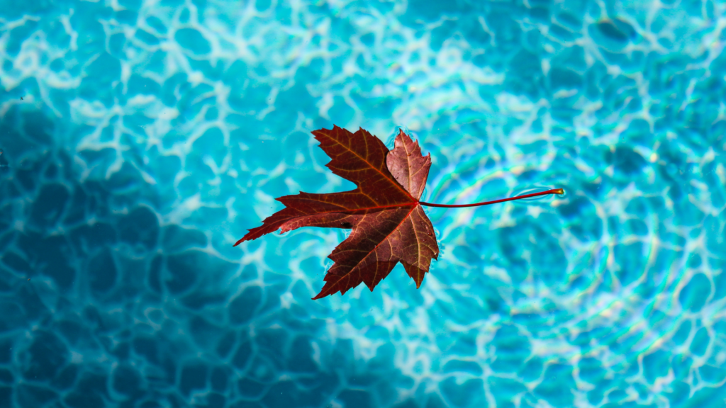 Hivernage Piscine : Les 10 étapes indispensables