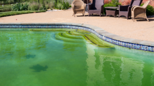 eau piscine verte