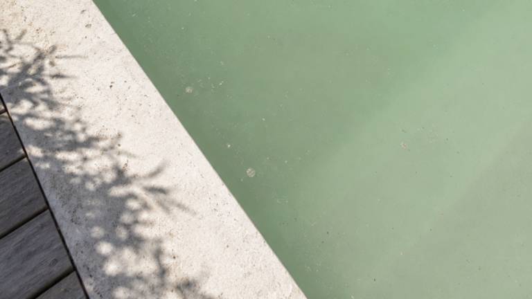 Comment rattraper une Eau Trouble ou Laiteuse de piscine en 5 étapes ?