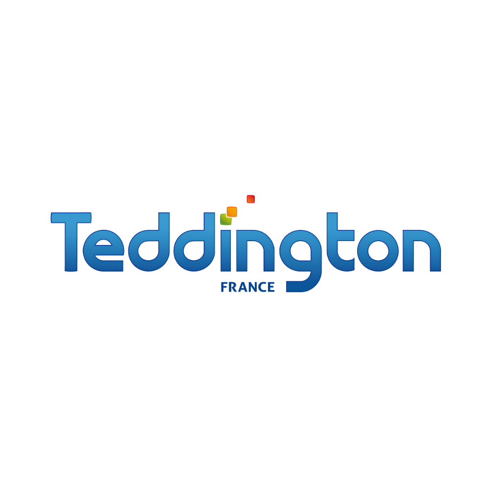 Module Wifi Teddington