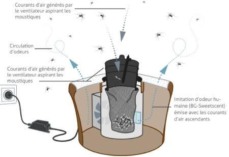 Pack anti-moustique Tigre Pioneer + cartouches - MyPiscine