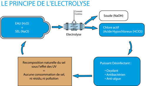 Une Piscine de Rêve avec l'Electrolyseur au Sel Parfait – Découvrez notre  Comparatif