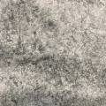 Coloris liner Stone gris