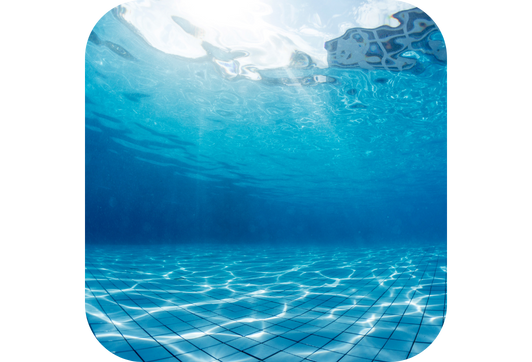 Pompe à chaleur Eco Elyo 31 kw - Full inverter