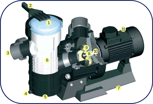 composition de la pompe Maxim Astralpool
